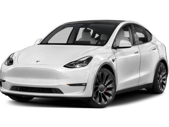 TESLA MODEL Y 2023 7SAYGDEE7PA117810 image